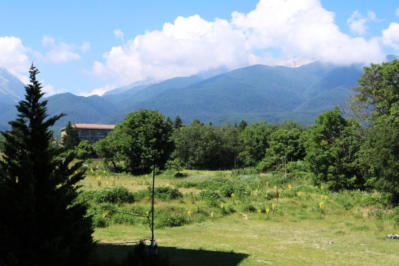 Private Apartments In Alpine Lodge Bansko Luaran gambar