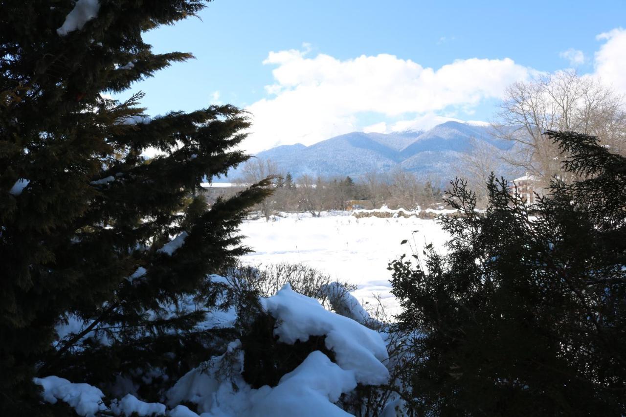 Private Apartments In Alpine Lodge Bansko Luaran gambar
