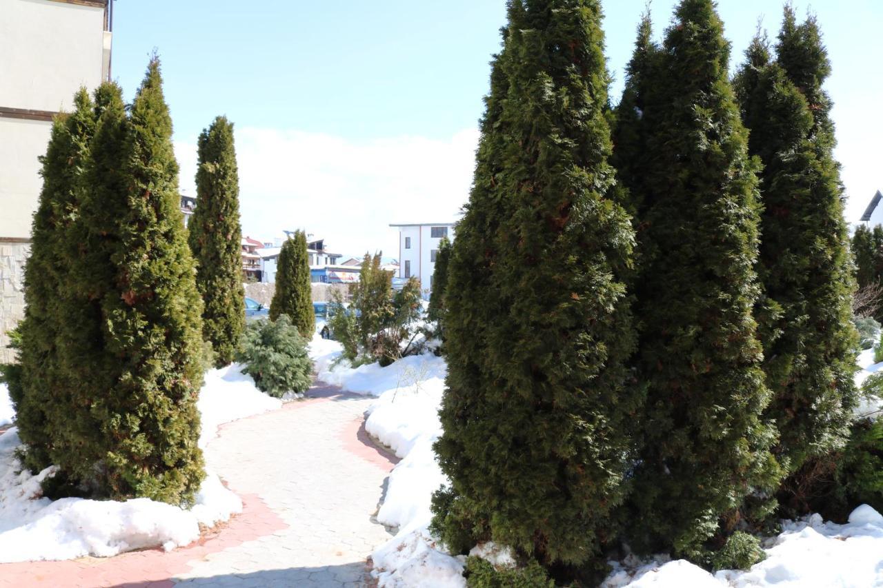 Private Apartments In Alpine Lodge Bansko Luaran gambar